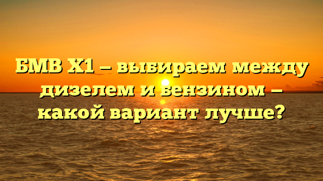 БМВ Х1 — выбираем между дизелем и бензином — какой вариант лучше?