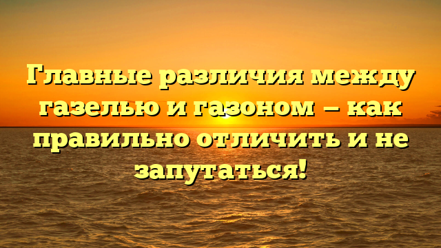 Главные различия между газелью и газоном — как правильно отличить и не запутаться!