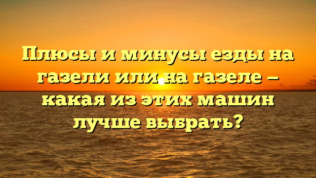Плюсы и минусы езды на газели или на газеле — какая из этих машин лучше выбрать?
