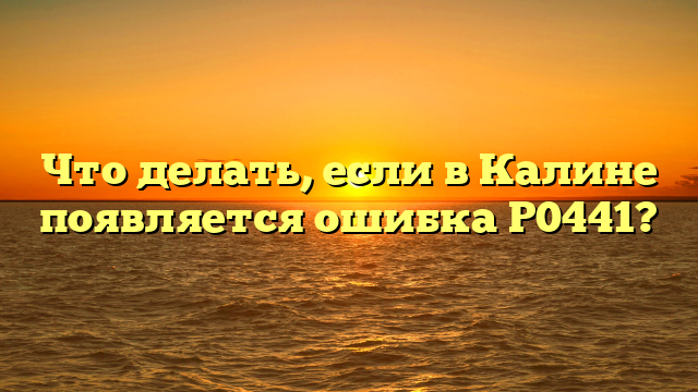 Что делать, если в Калине появляется ошибка Р0441?