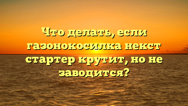 Что делать, если газонокосилка некст стартер крутит, но не заводится?