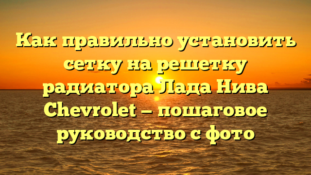 Как правильно установить сетку на решетку радиатора Лада Нива Chevrolet — пошаговое руководство с фото